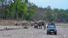 attractions/raja-ji-national-park/raja-ji-05.jpg